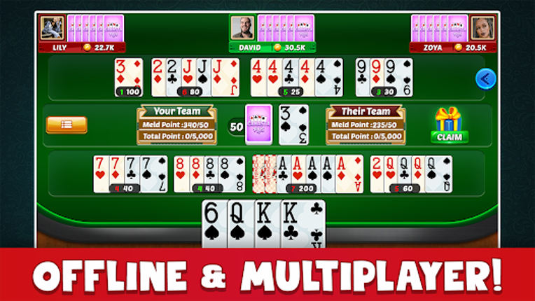 Canasta Plus Offline Card Game Image