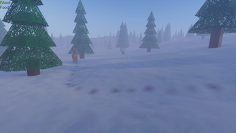 A cold winter Image