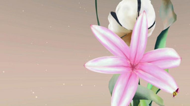 Lily (2017) Image