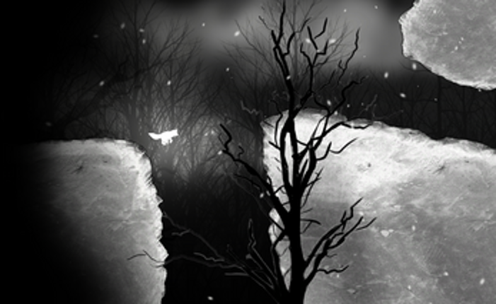Lumi Image
