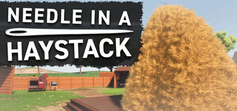 Needle In A Haystack Image
