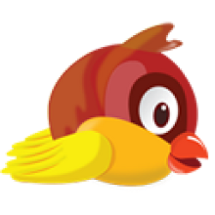 Pollito Image