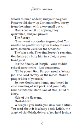 Southern Saints by Allister Nelson Image