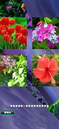 Spring Jigsaw Puzzles screenshot