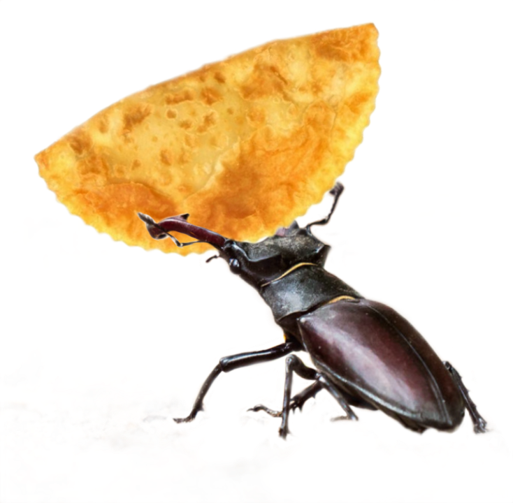 Games like Bug: Revolution or Love