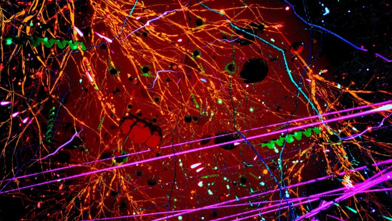 Secrets Of Soil screenshot