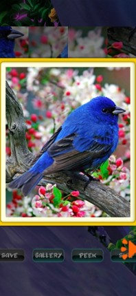 Spring Jigsaw Puzzles screenshot