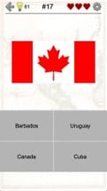 American Countries and Caribbean: Flags, Maps Quiz Image