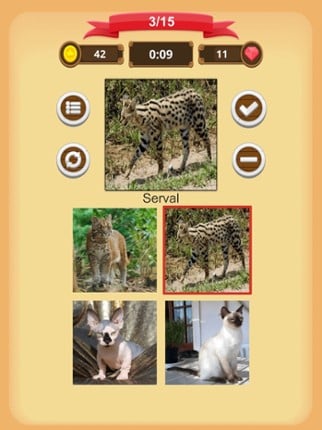 Cats - Quiz screenshot