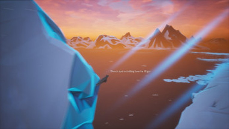 Seal Downhill Image