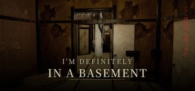 I'M DEFINITELY IN A BASEMENT Image