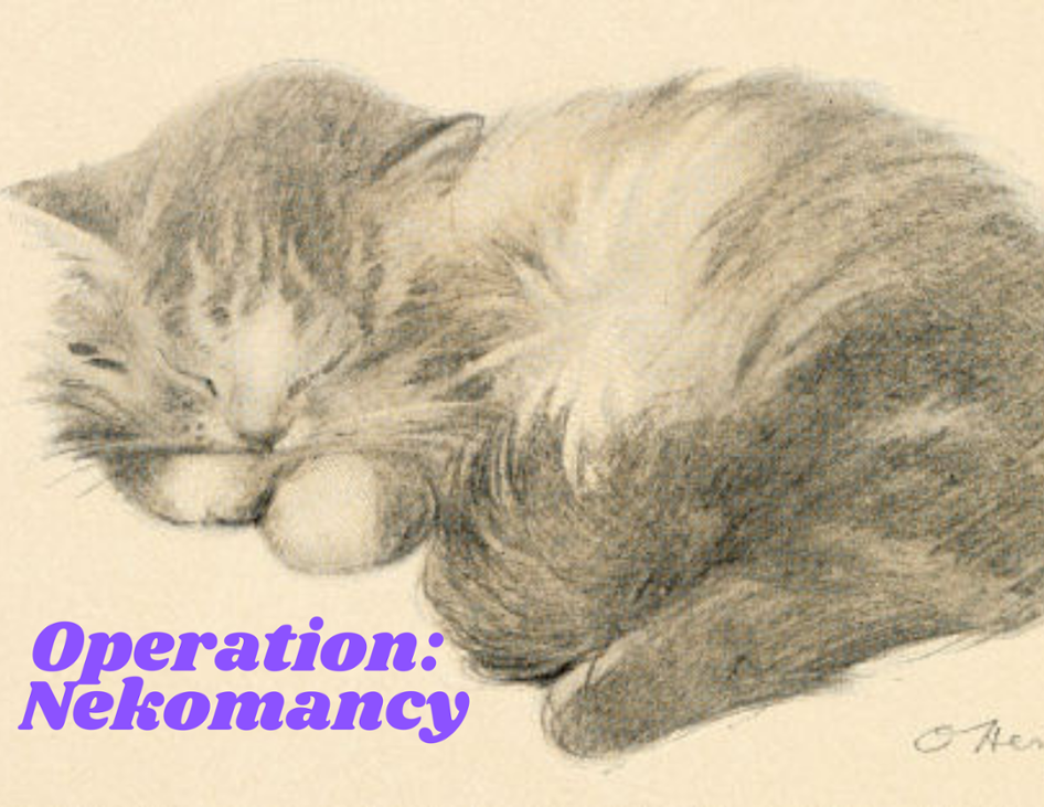 Games like Operation: Nekomancy