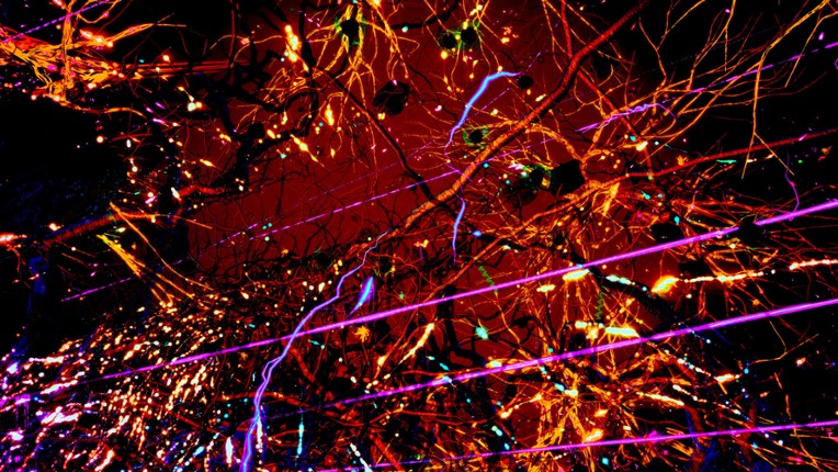 Secrets Of Soil screenshot