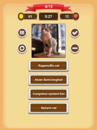 Cats - Quiz screenshot