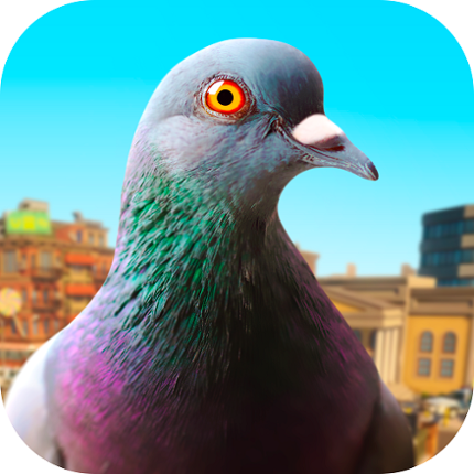 Pigeon Image