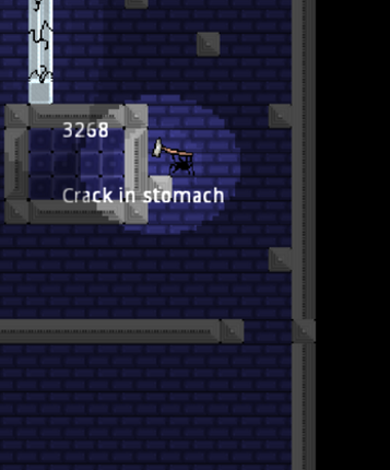 Hammer Spider Image