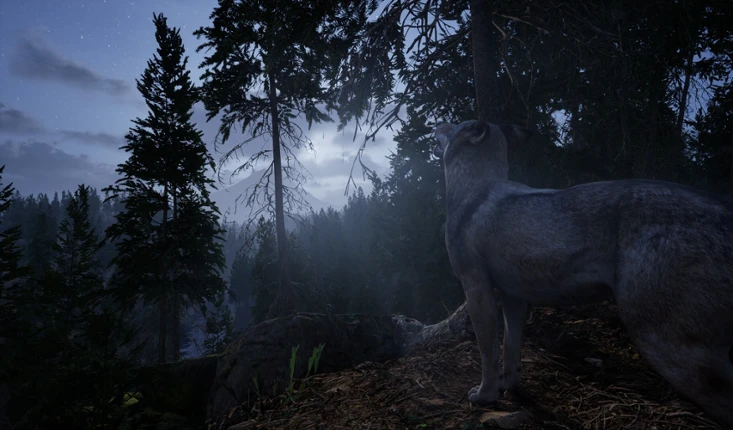 Online: 404 screenshot