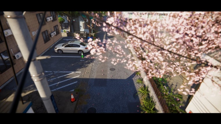 Project Sakura screenshot