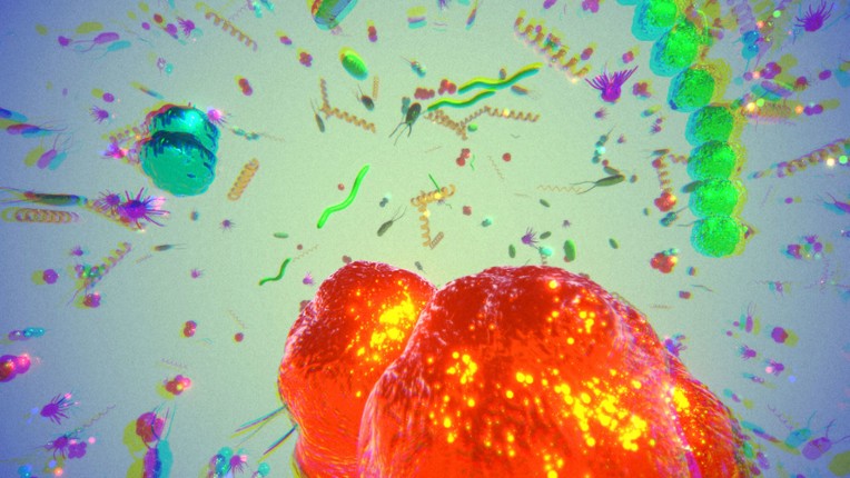 Secrets Of Soil screenshot