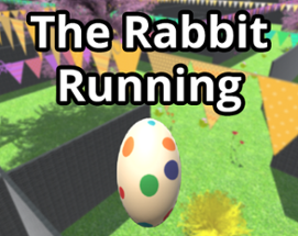 The Rabbit Running Image