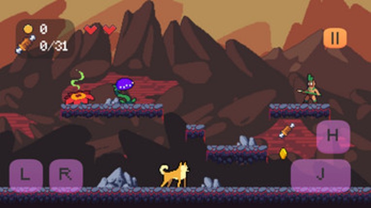 Wild Pets Image