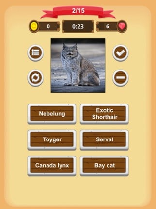 Cats - Quiz screenshot