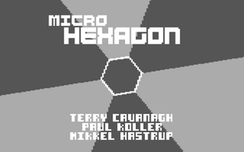 Micro Hexagon Image