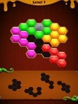 Hexa! -Block Puzzle Game- Image