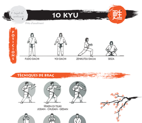 KYOKUSHINKAI: Programa de pas de graus screenshot