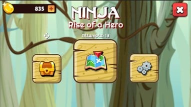 Ninja: Rise of a Hero Image