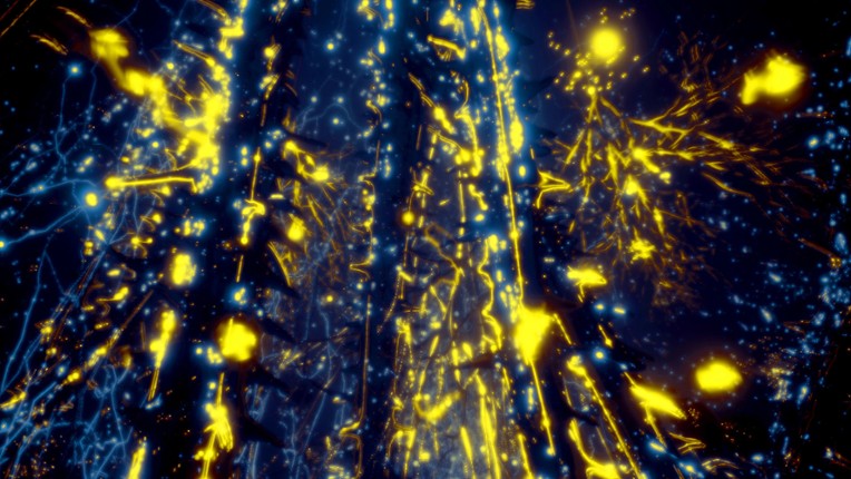 Secrets Of Soil screenshot