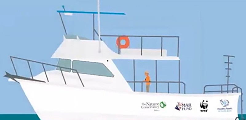 Find the Whales screenshot