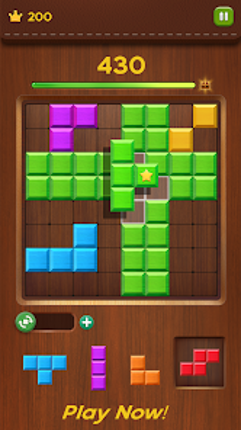 Block Puzzle Wood Classic 1010 screenshot