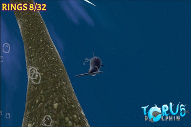 Torus The Dolphin Image