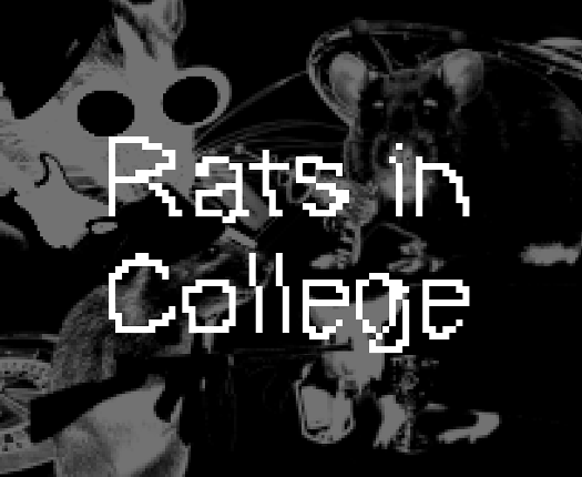 Rats in College Image