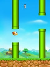 Super Flappy Adventure : Flying Bird Game Image