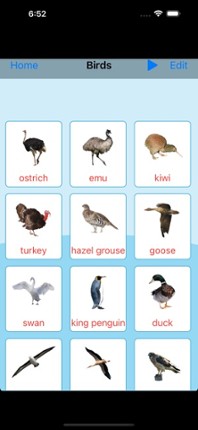 Birds Learning Cards Image