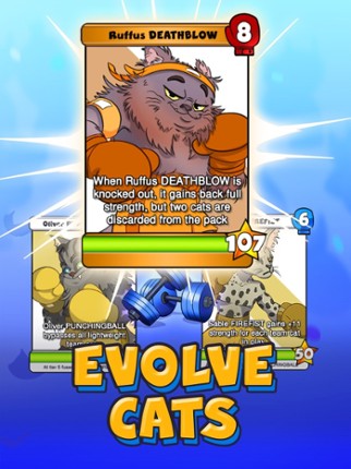 Boxing Cats CCG screenshot