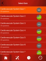 Cardiovascular System Trivia Image