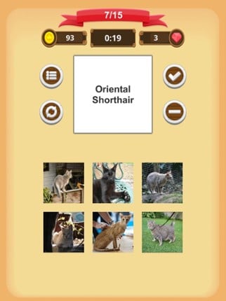 Cats - Quiz screenshot