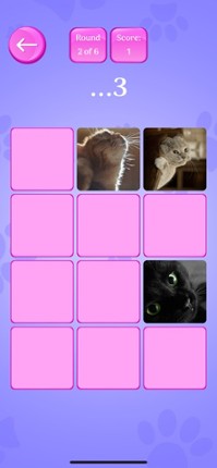 Cute Cats Memory Match Game screenshot