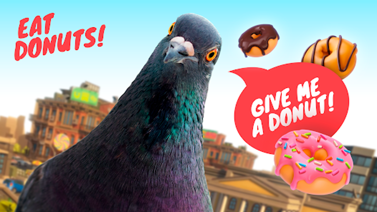 Pigeon Image