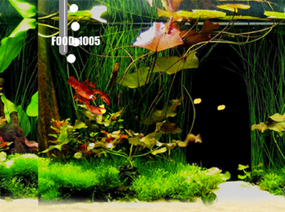 Aquarium Life Image