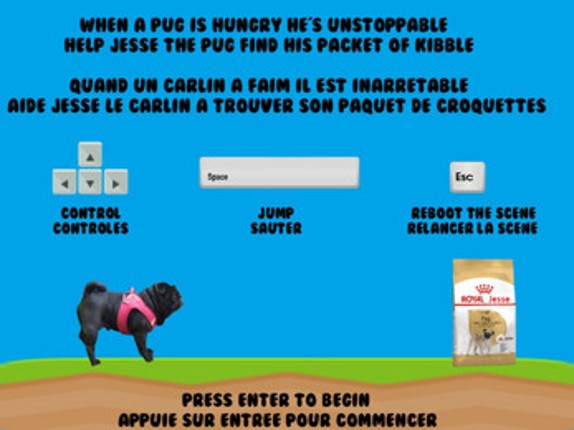 Jesse the Pug Image