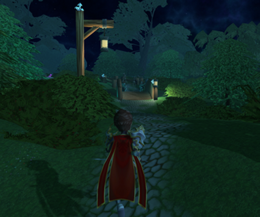 Paladin-Cross Image