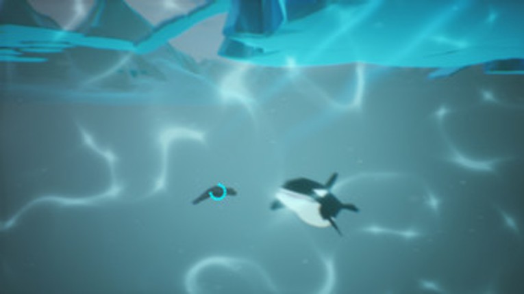 Seal Downhill screenshot