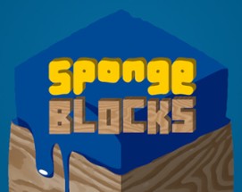 Sponge Blocks Image