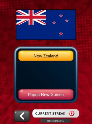 Guess The Flag! Image