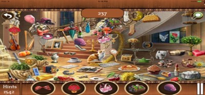 Hidden Objects:Big Home Mania Image