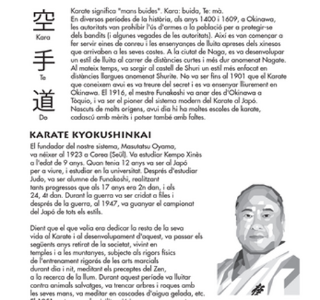 KYOKUSHINKAI: Programa de pas de graus screenshot